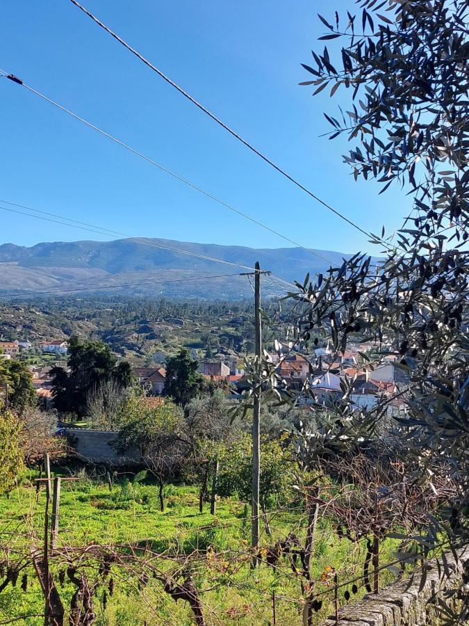 Casa Das Cortes - Serra Da Estrela Daire Gouveia  Dış mekan fotoğraf