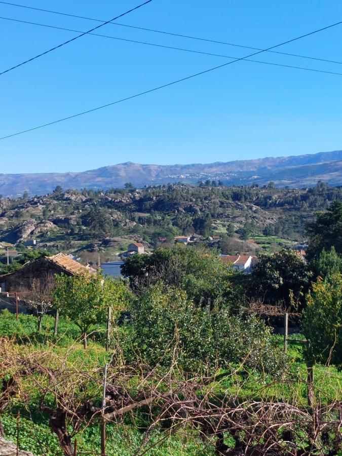 Casa Das Cortes - Serra Da Estrela Daire Gouveia  Dış mekan fotoğraf