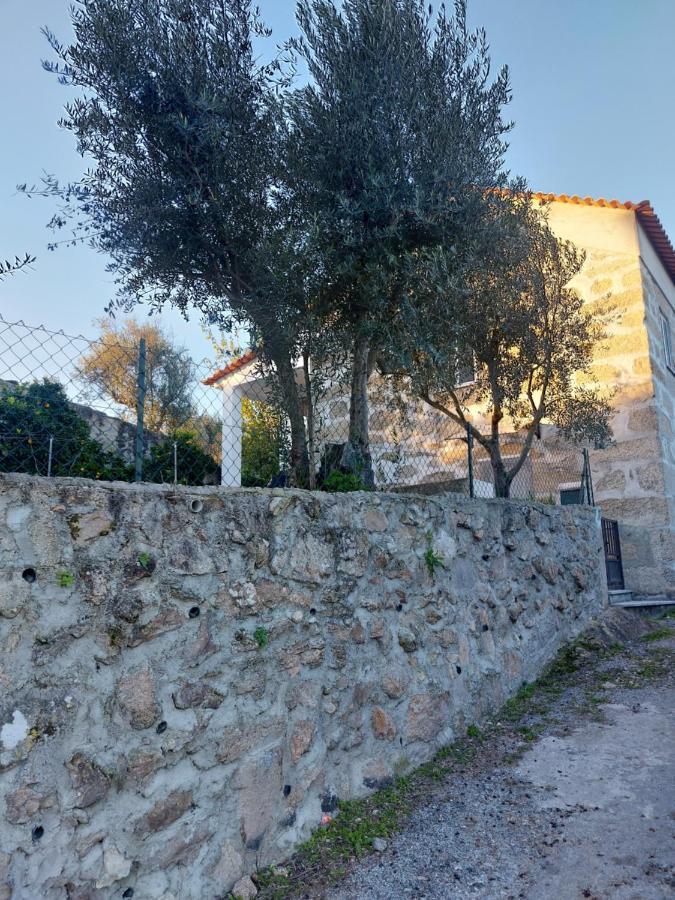 Casa Das Cortes - Serra Da Estrela Daire Gouveia  Dış mekan fotoğraf